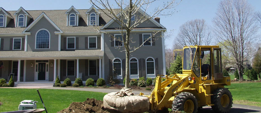 Landscaping8